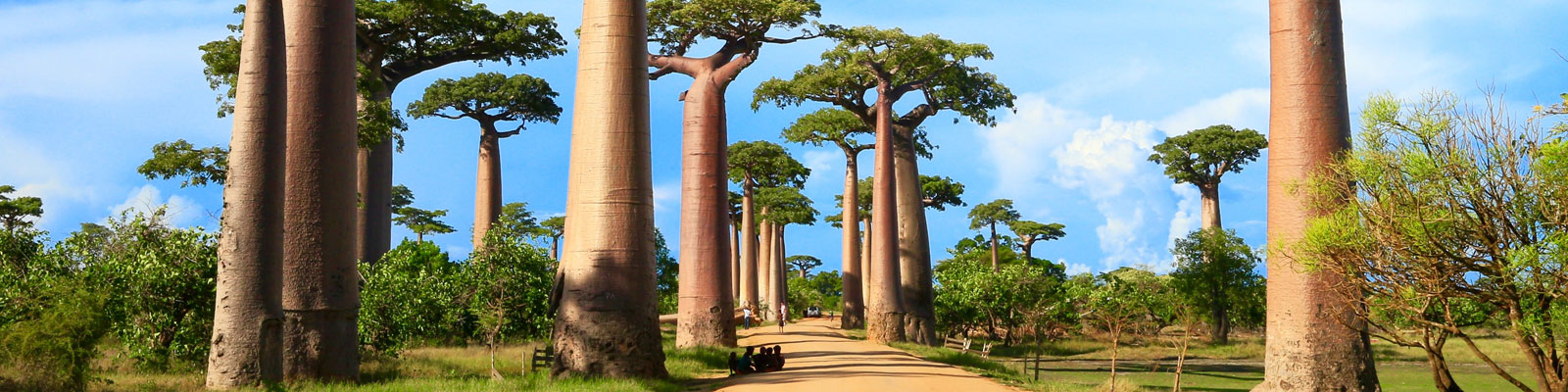 Madagascar  
