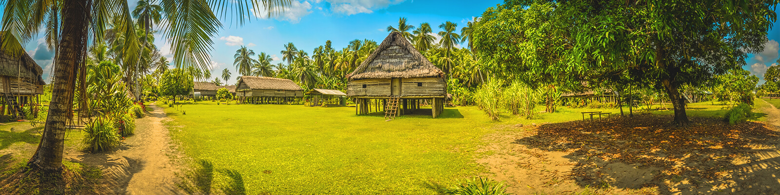 Papua New Guinea 